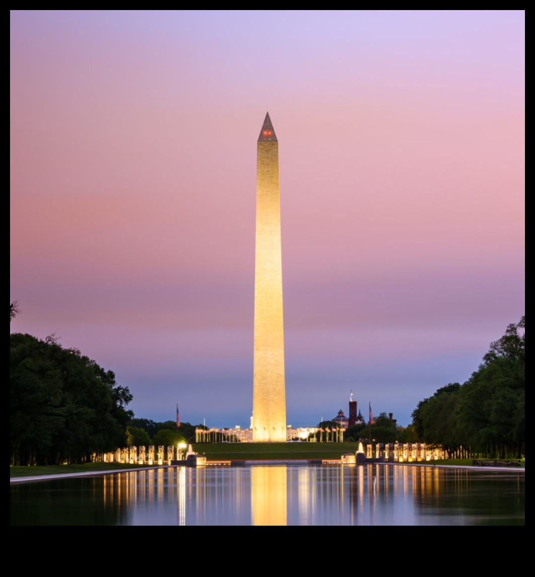 זרקור סיור: מאיר את הנופים היפים ביותר