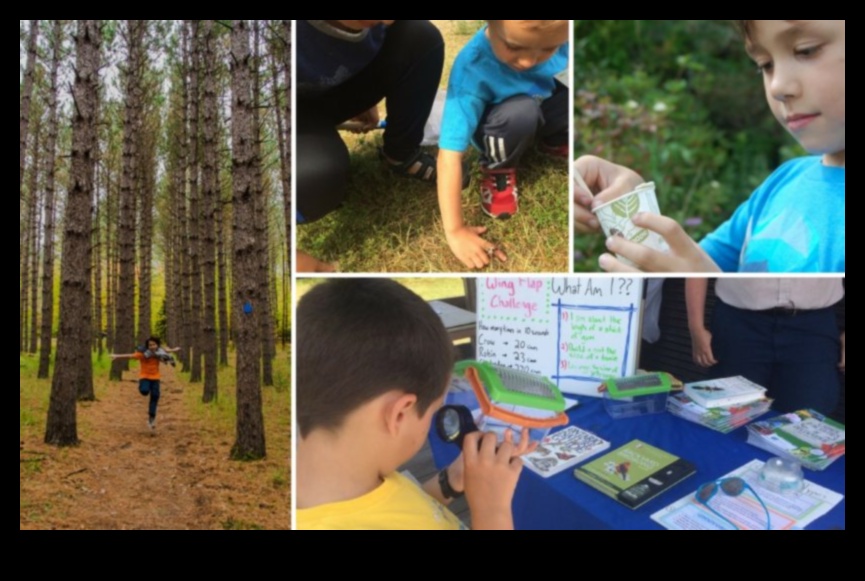 סייר קטן: עידוד סקרנות בתינוק