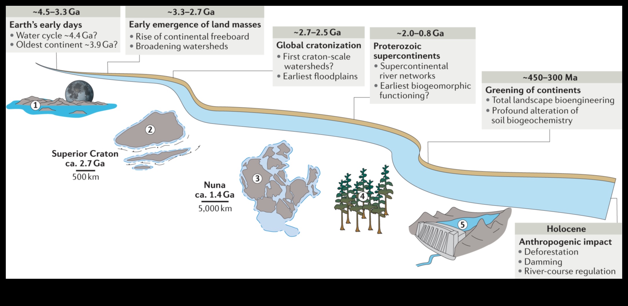 פיתול מיקרוקוסמוס: ניווט בין המורכבויות של אטרקציות מקומיות