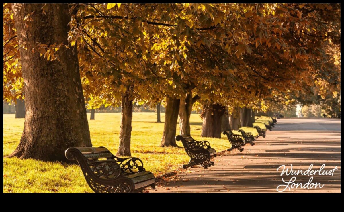 Footloose Explorer: המדריך שלך לטיולים בעיר