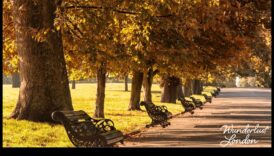 Footloose Explorer המאמן האינדיבידואלי שלך לטיולים הטובים ביותר בעיר 6 Footloose Explorer: המדריך שלך לטיולים בעיר