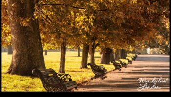 Footloose Explorer: המדריך שלך לטיולים בעיר