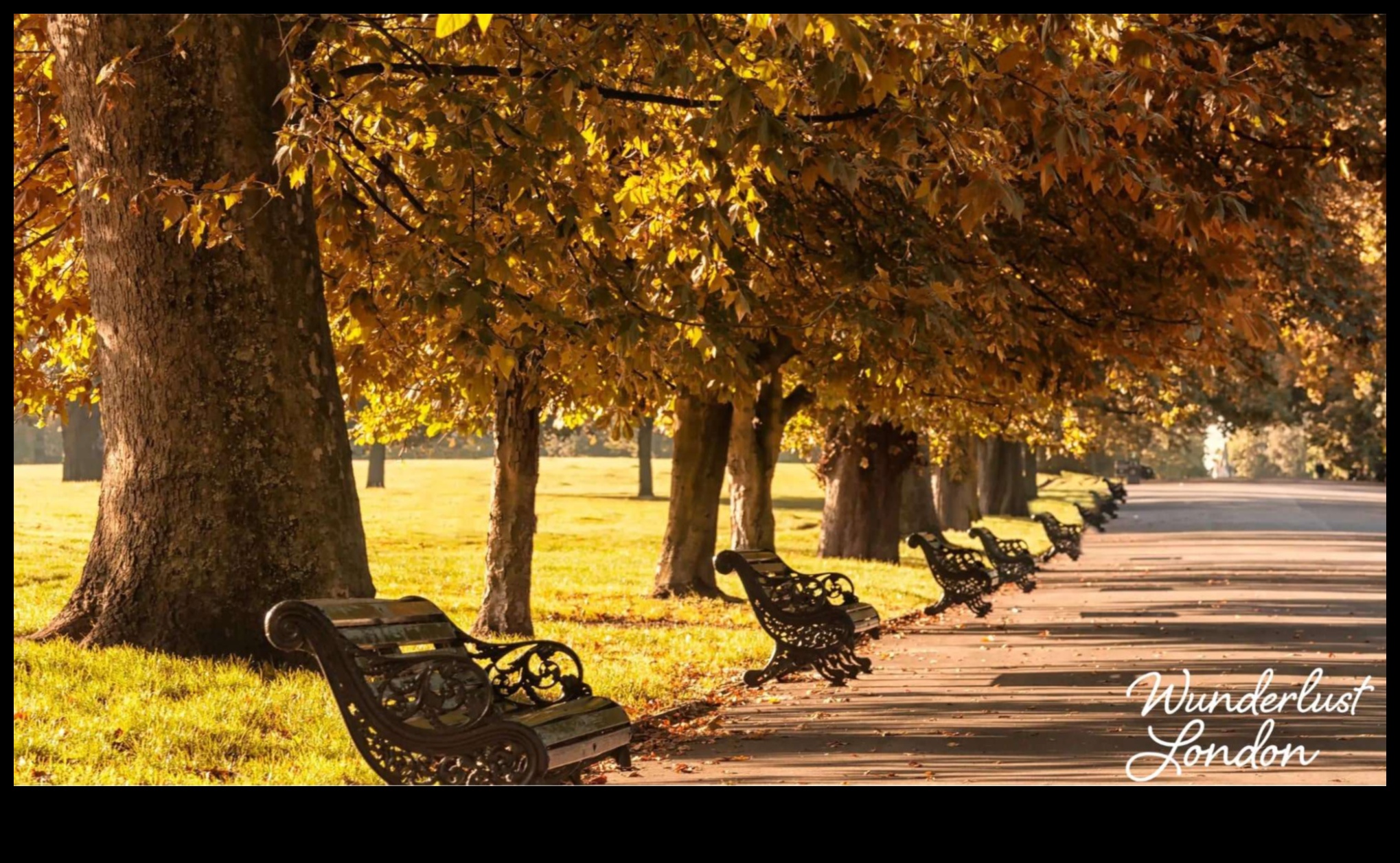 Footloose Explorer המדריך שלך לטיולים הטובים ביותר בעיר 1 Footloose Explorer: המדריך שלך לטיולים בעיר