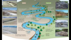 פיתול מיקרוקוסמוס: ניווט בין המורכבויות של אטרקציות מקומיות