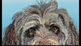 לחישות להמשיך להתקיים בר כיצד לשמור על קשר ולא באמצעות יצורי חוץ 1 לחישות חיות בר: תקשורת עם יצורי חוץ