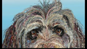 לחישות חיות בר: תקשורת עם יצורי חוץ