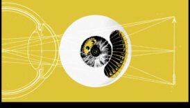 שיחות חזותיות: שפת המודלים התלת מימדיים