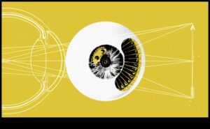 שיחות חזותיות: שפת המודלים התלת מימדיים